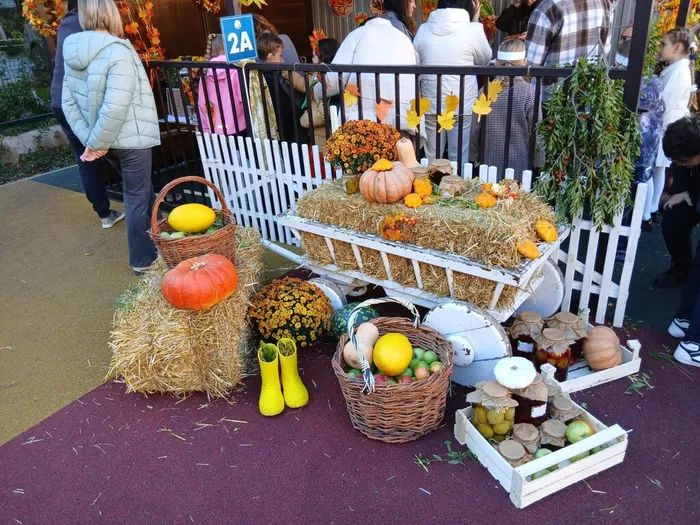 WhatsApp Image 2025-10-17 at 17.40.24