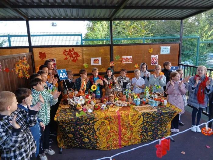 WhatsApp Image 2025-10-17 at 17.40.13