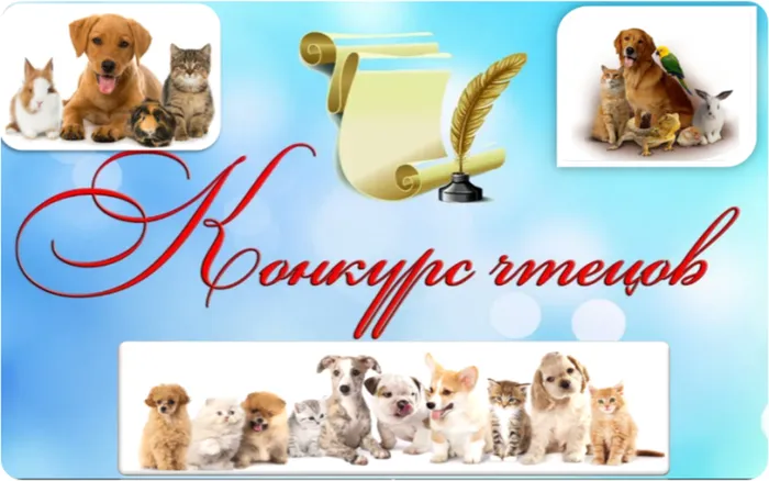 8ef1b78ef551488a260b0753c523292c